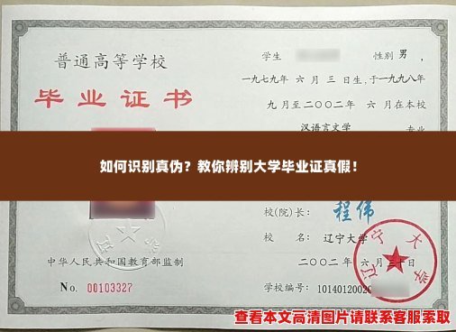 汉阳大学毕业证学位证真伪查询怎么做?看这里!