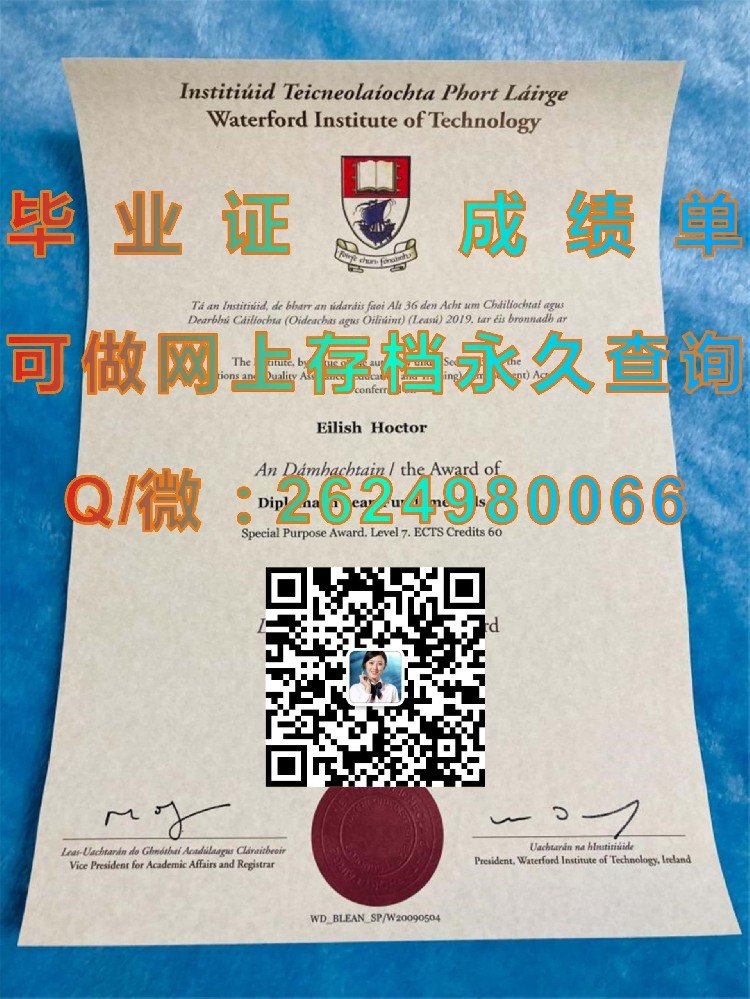 谁有都柏林城市大学毕业证样本模版？高清原件分享给你！