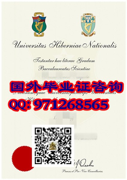 教你识别都柏林大学毕业证样本真伪,避免上当受骗!