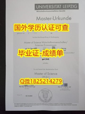 想要莱比锡大学毕业证?文凭样本提前看,心里更有数!