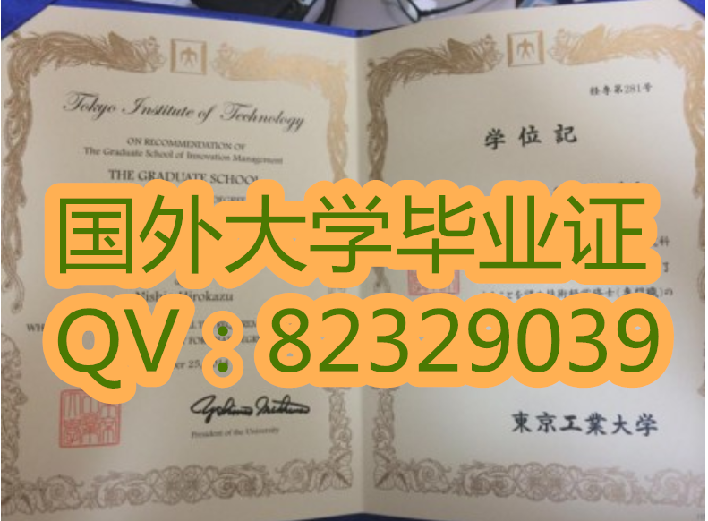 哪里能看到东京工业大学毕业证样本?看这一篇就够了!