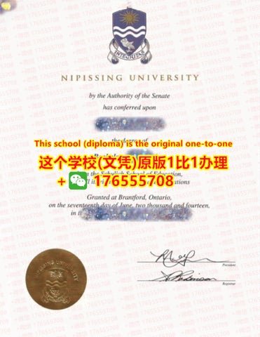 尼皮辛大学毕业证学位证文凭怎么办?有啥办法?